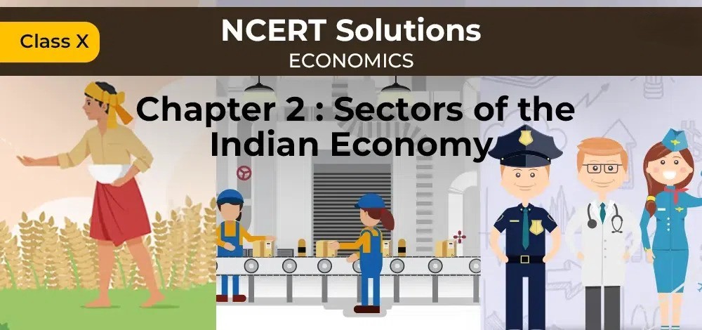 NCERT Solutions for Class 10 Economics Chapter 2 Sectors of the Indian Economy