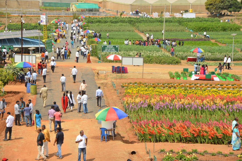 Indian Institute of Horticultural Research Fair In Hessarghatta, Bengaluru